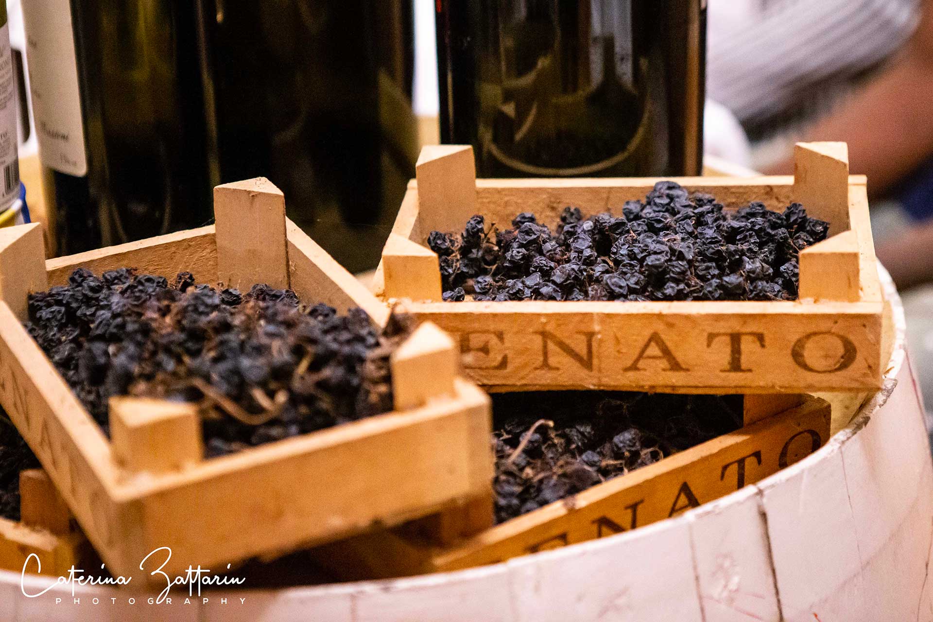 Cantina Vini - Caterina Zattarin Portfolio
