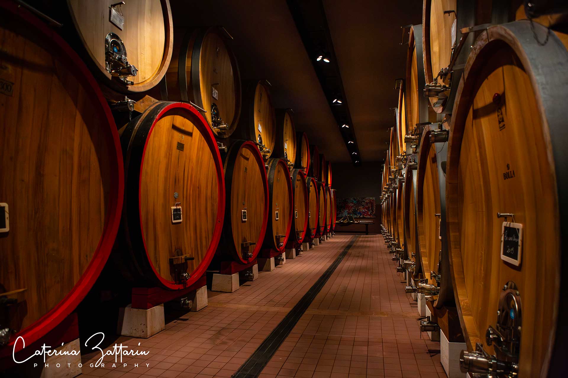 Cantina Vini - Caterina Zattarin Portfolio