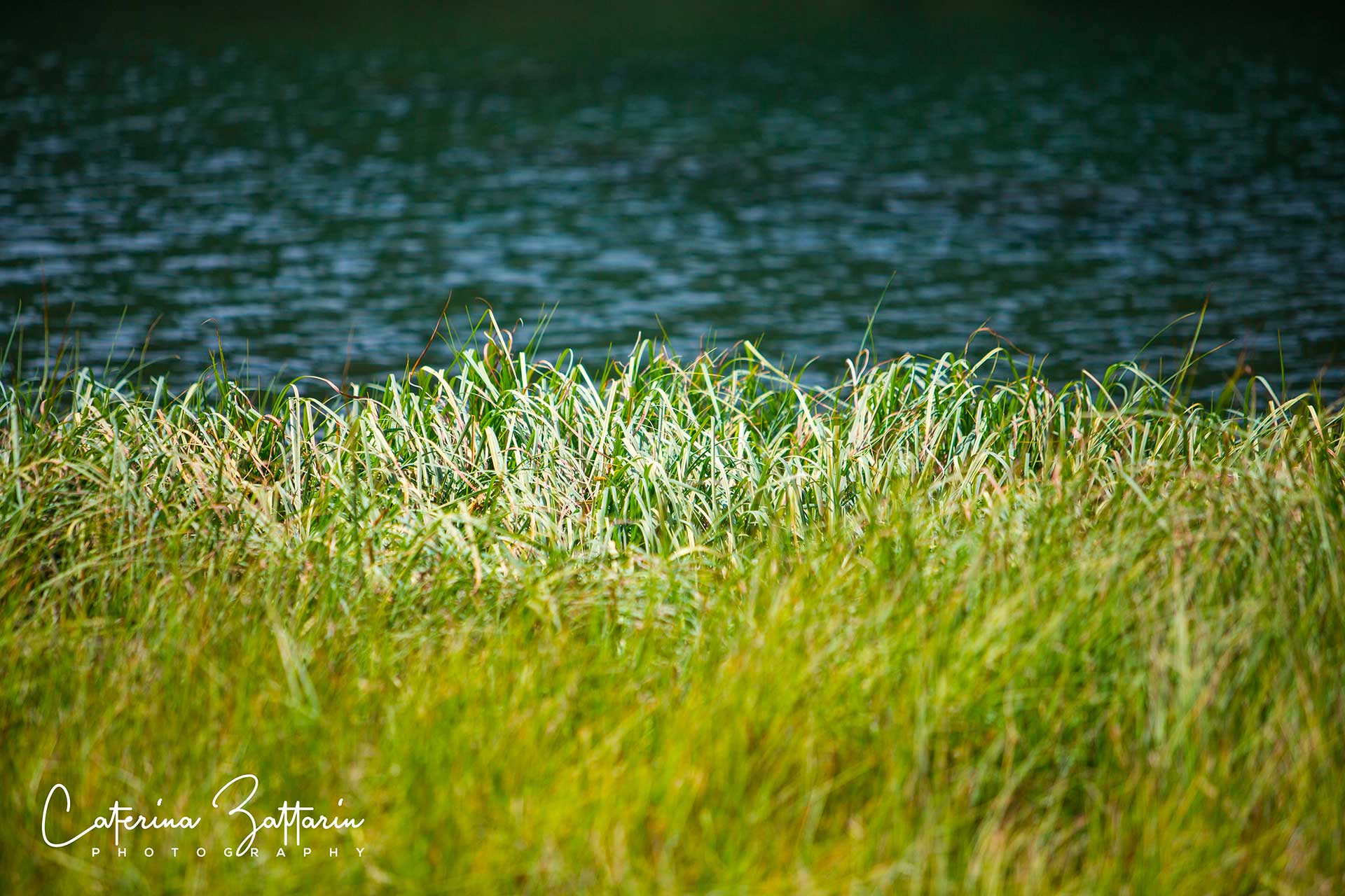 lago - lake - Caterina Zattarin Portfolio