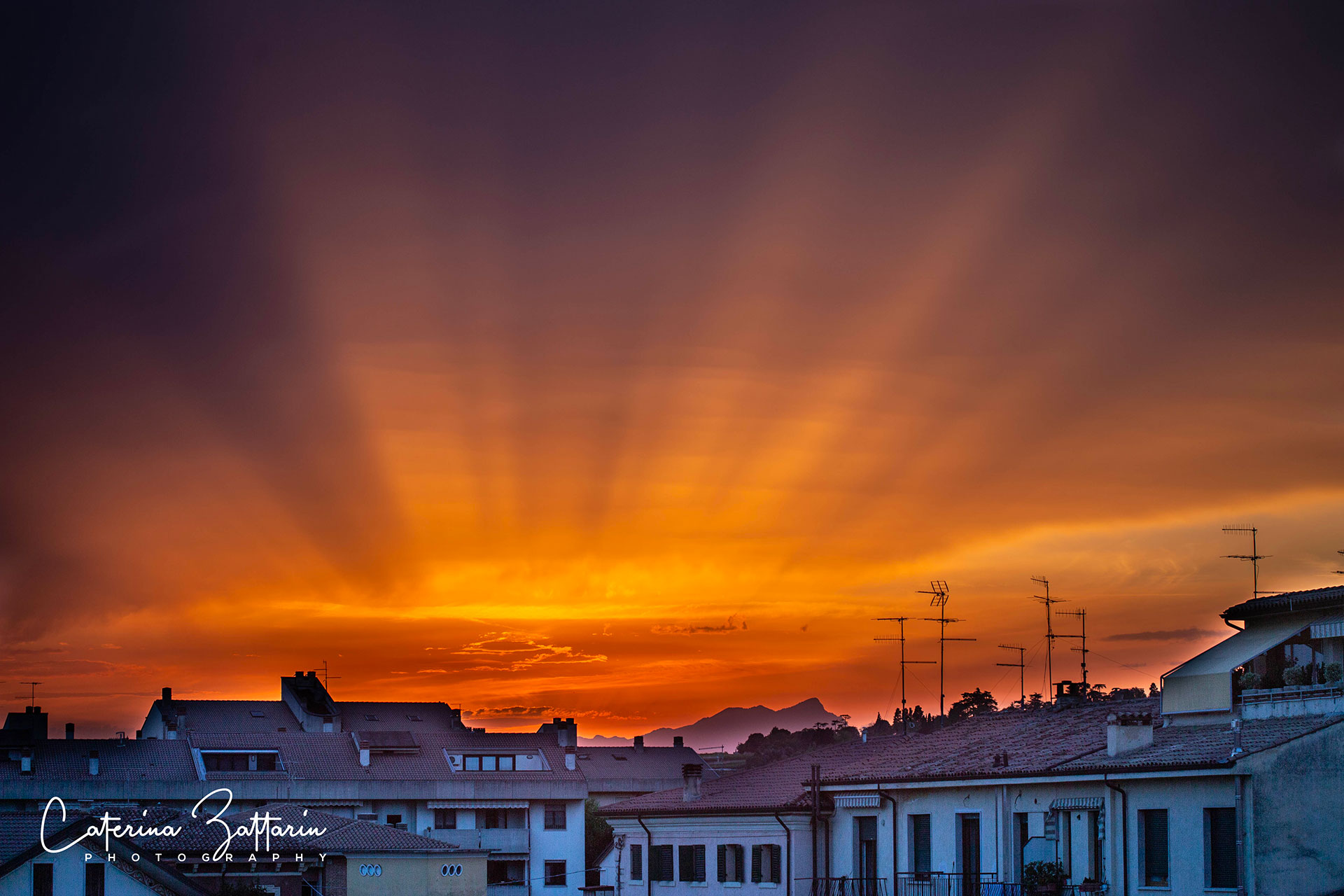 tramonto - Caterina Zattarin Portfolio