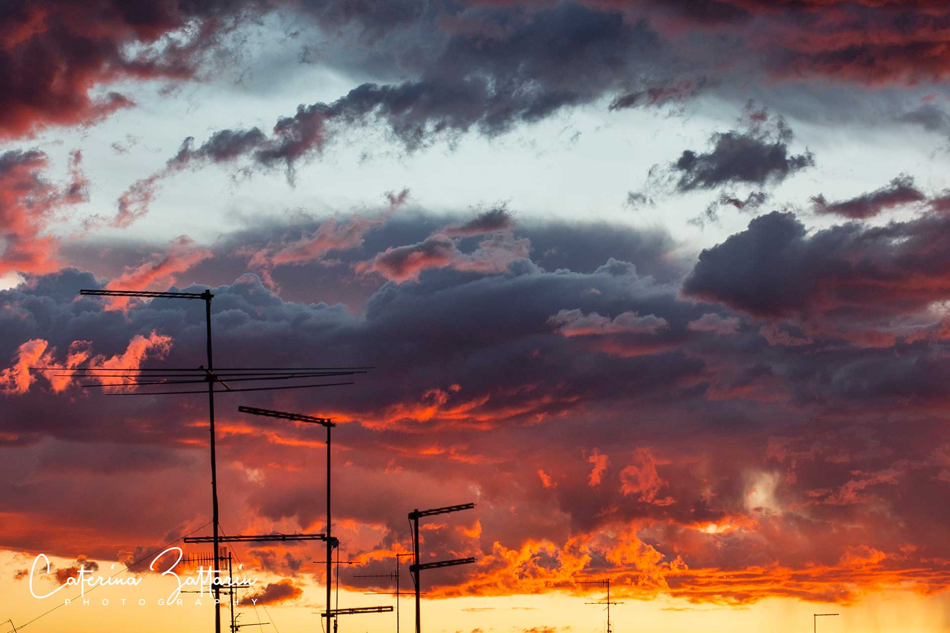 tramonto - Caterina Zattarin Portfolio