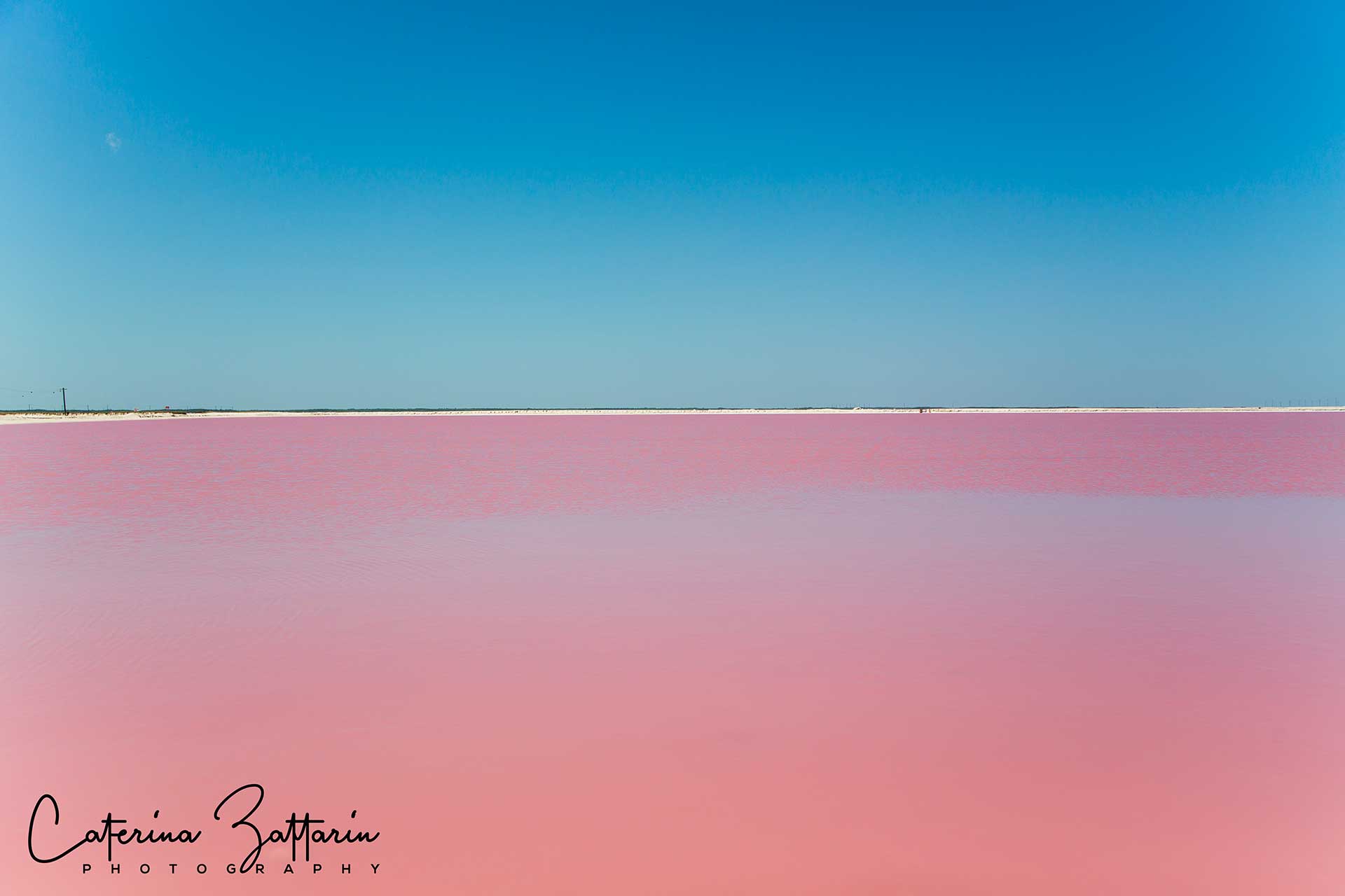las coloradas - Caterina Zattarin Portfolio