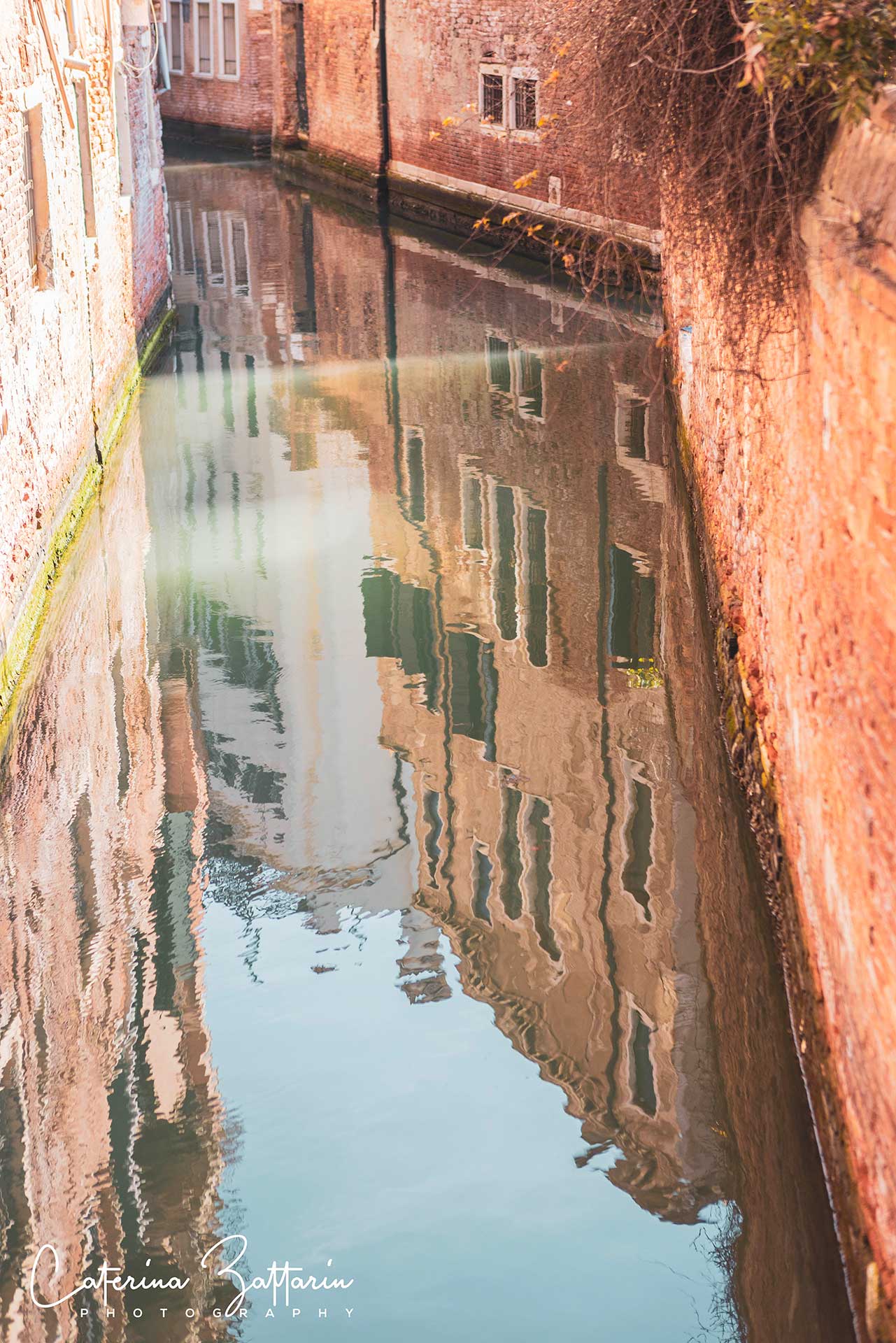 Venezia - Caterina Zattarin Portfolio