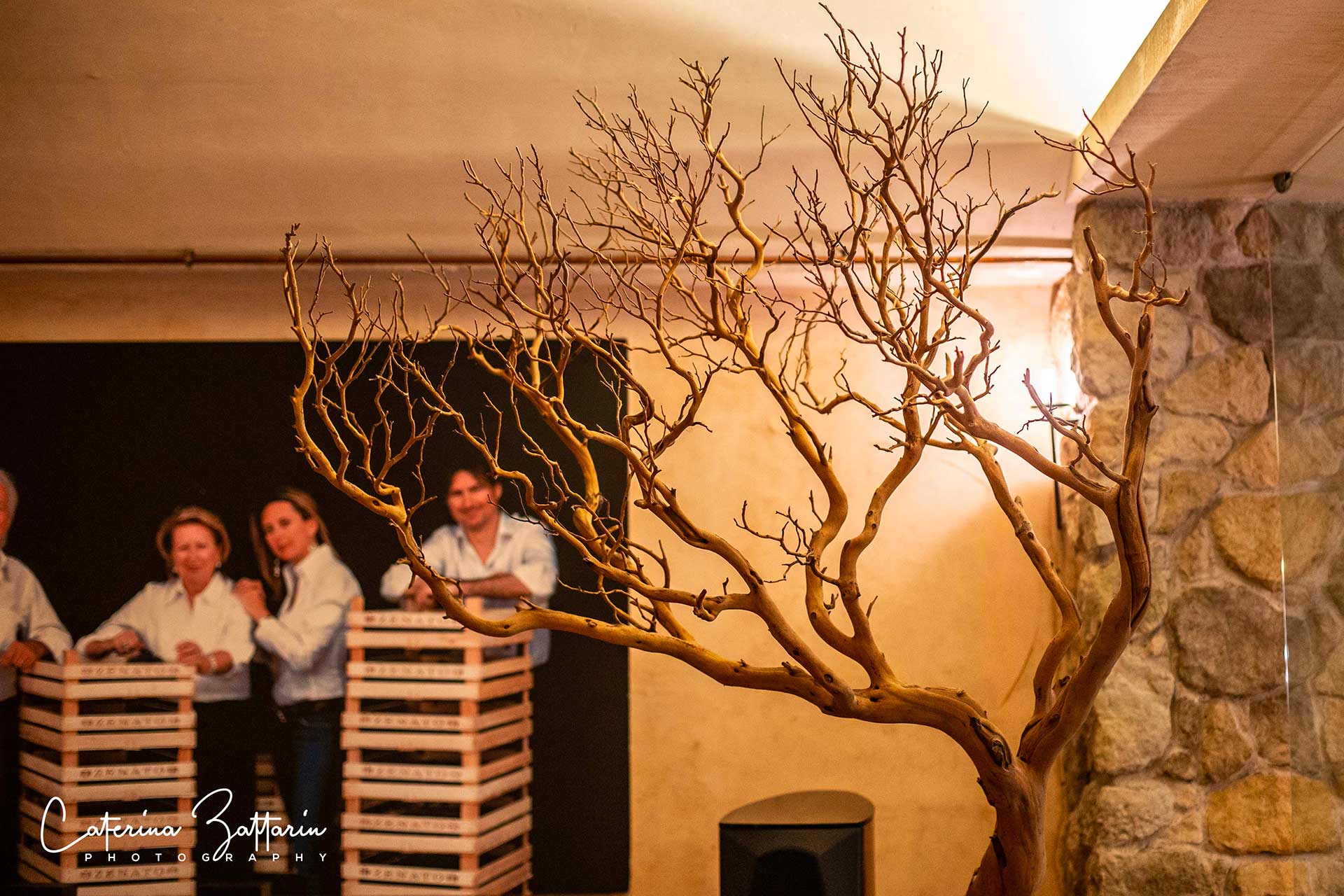 Cantina Vini - Caterina Zattarin Portfolio