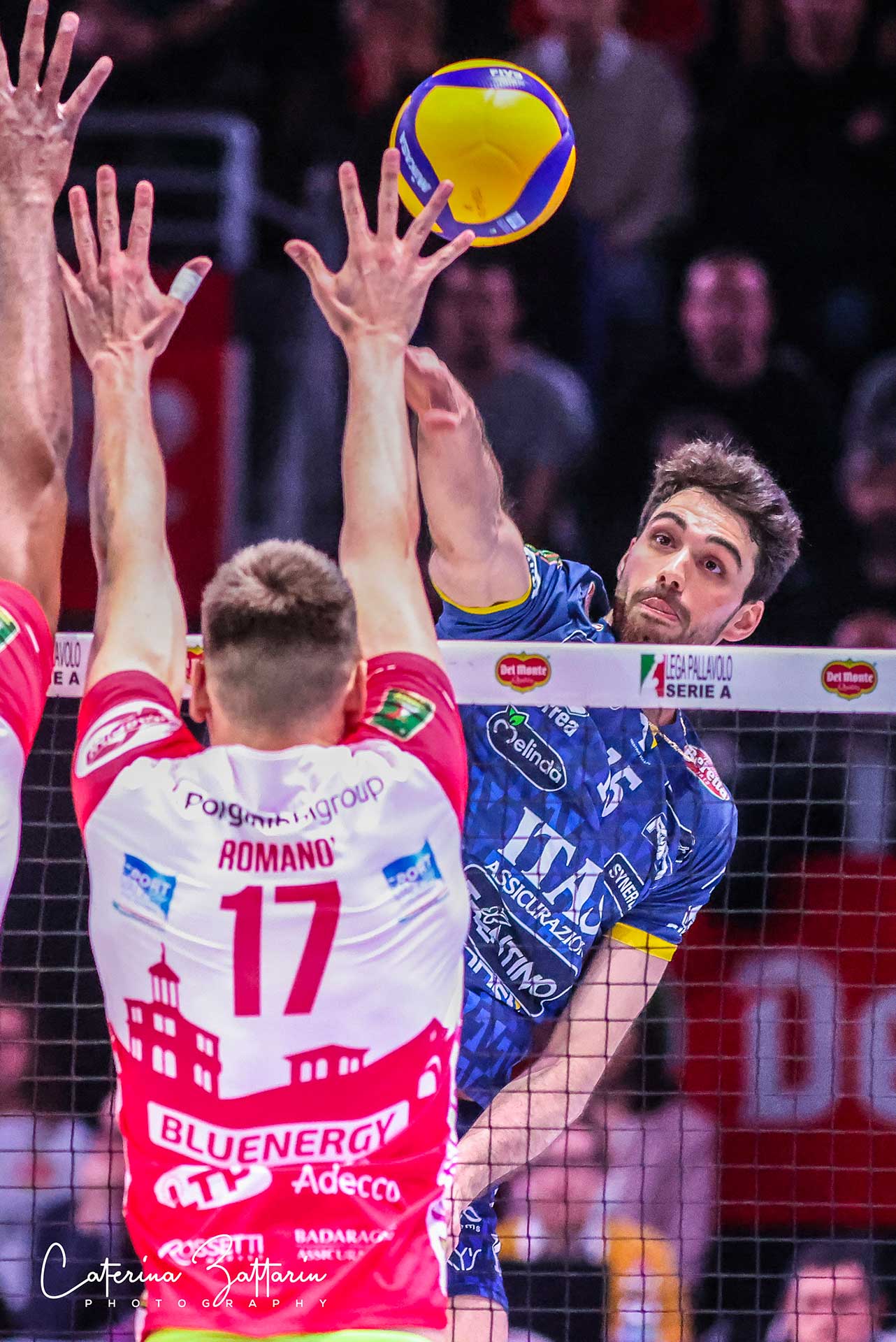 Daniele Lavia - trentino volley - volleyball - Caterina Zattarin Portfolio