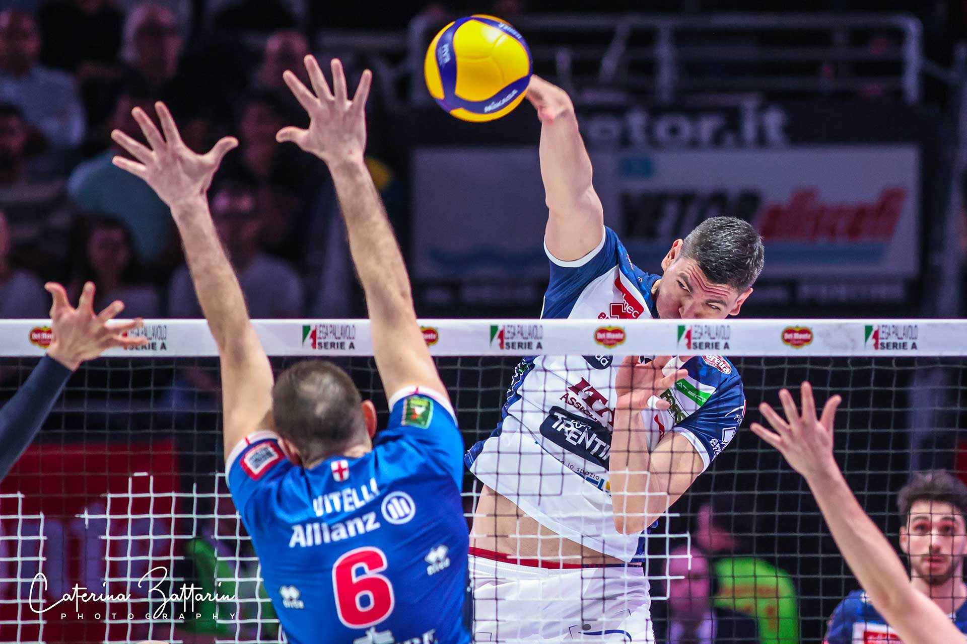 Marko Podrascanin - trentino volley - volleyball - Caterina Zattarin Portfolio