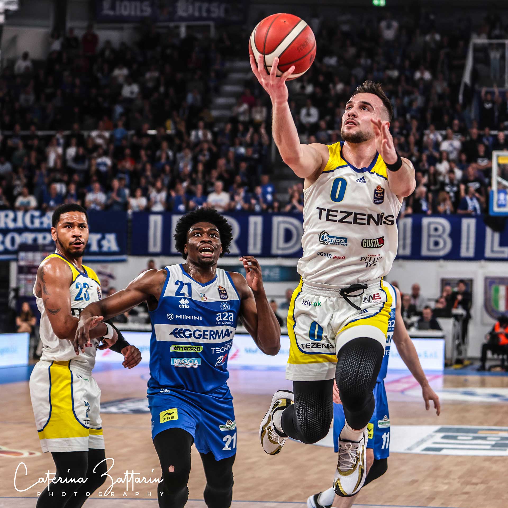 Alessandro Cappelletti - Scaligera basket - basketball - Caterina Zattarin Portfolio