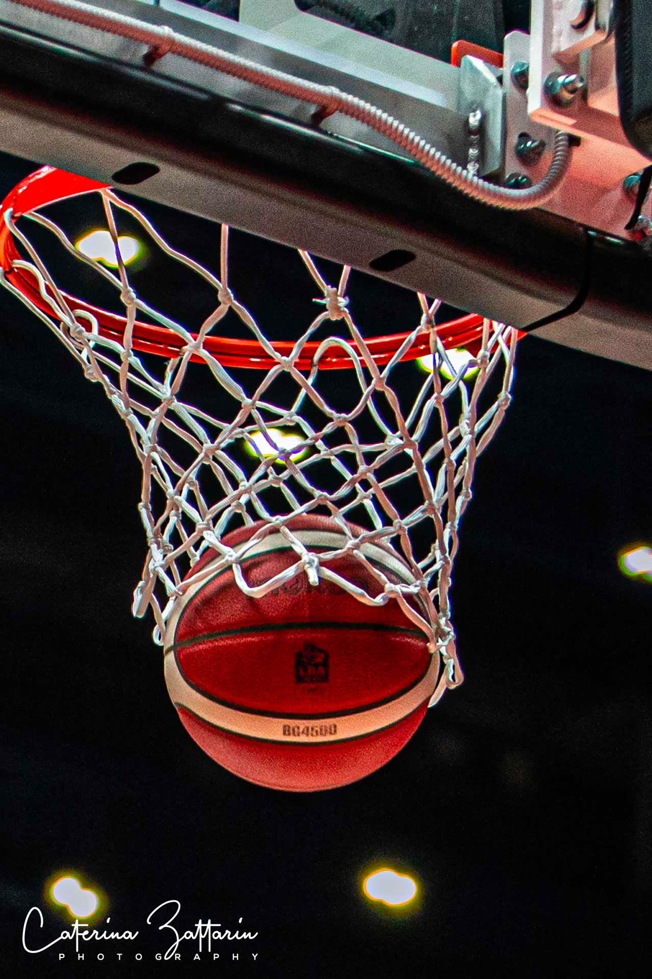 Canestro - basketball - Caterina Zattarin Portfolio